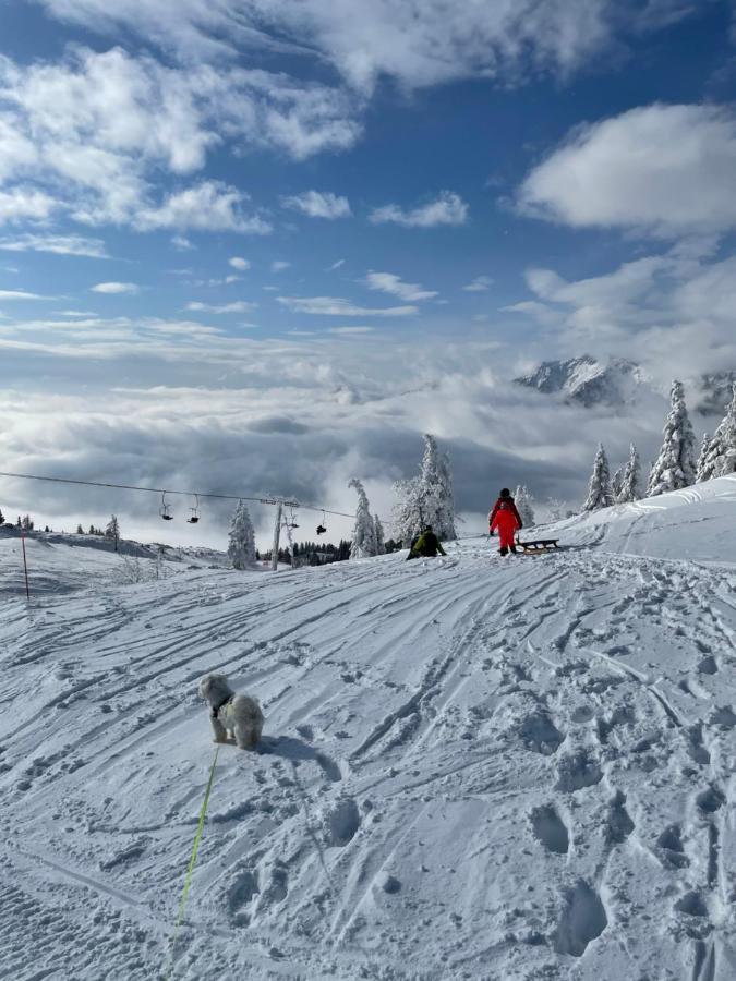 Velika Planina Koca Kekec Villa Stahovica Luaran gambar